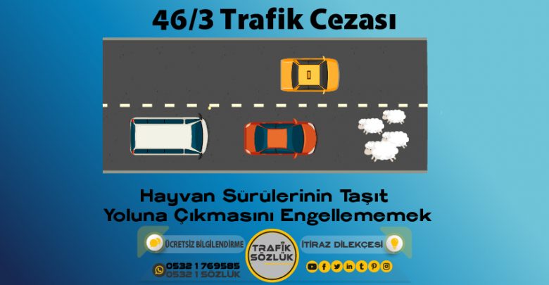 46/3 trafik cezası