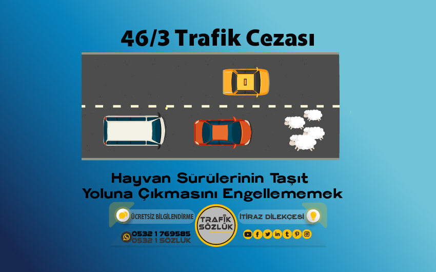 46/3 Kusur Oranı Nedir? Nasıl İtiraz Edilir? 2025 46/3 46/3 trafik cezası