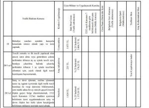 2019 trafik ceza rehberi pdf egm