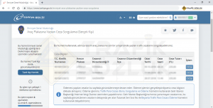 araç plakasına yazılan trafik cezası e-devlet gerçek kişi sorgulama